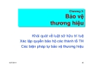 Giáo trình quản trị thương hiệu - Chương 3