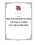 Luận văn phân tích tình hình tài chính của công ty Tân Trần Phương