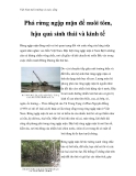 Việt Nam môi trường và cuộc sống - Phần 12