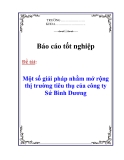 Chuyên đề thực tập tốt nghiệp ” Một số giải pháp nhằm mở rộng thị trường tiêu thụ của công ty Sứ Bình Dương”