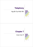 Telephony - Chapter 7Voice Over IP 