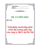 Để án môn học : Giải pháp marketing phát triển thị trường giầy dép của công ty Biti’s tại Hà Nội