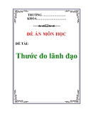 Đề án môn học : Thước đo lãnh đạo