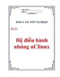 Báo cáo tốt nghiệp: Hệ điều hành nhúng uClinux