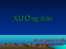 XƯƠNG THÂN (Giải phẫu học)