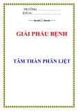 TÂM THẦN PHÂN LIỆT