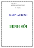 BIỂU HIỆN BỆNH SỞI