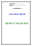 BỆNH LÝ MẠCH MÁU