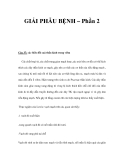 GIẢI PHẪU BỆNH – Phần 2 