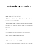 GIẢI PHẪU BỆNH – Phần 3 