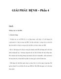 GIẢI PHẪU BỆNH – Phần 4 