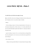 GIẢI PHẪU BỆNH – Phần 5 