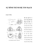 SỰ HÌNH THÀNH HỆ TIM MẠCH 