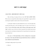 MÔ VÀ MÔ HỌC 