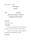 Giáo án địa lý 11 - Bài 9 Liên bang nga (tiếp theo)  Tiết 3  Thực hành Tìm hiểu thay đổi kinh tế và phân bố nông nghiệp của Liên bang nga