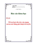 Báo cáo nghiên cứu khoa học: Tối ưu hoá cấu trúc của mạng nơron mờ bằng giải thuật di truyền