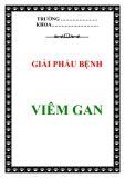 Giải phẫu bệnh: Viêm gan