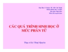  CÁC QUÁ TRÌNH SINH HỌC Ở MỨC PHÂN TỬ part 1