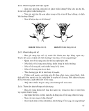 Chăm sóc sức khỏe phụ nữ part 6