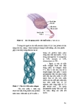 Giáo trình Công nghệ Protein part 6