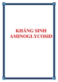 KHÁNG SINH AMINOGLYCOSID (gọi tắt là Aminosid)