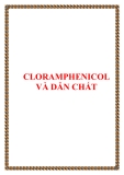 CLORAMPHENICOL VÀ DẪN CHẤT