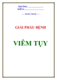 NGUYÊN NHÂN VIÊM TỤY