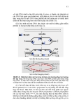 Giáo trình Nucleic Acid part 6