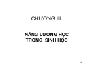 LÝ SINH ĐẠI CƯƠNG - CHƯƠNG III NĂNG LƯƠNG HỌC TRONG SINH HỌC