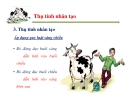 Một số vấn đề về quản lý sinh sản ở bò sữa part 7