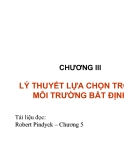 CHƯƠNG III :LÝ THUYẾT LỰA CHỌN TRONG MÔI TRƯỜNG BẤT ĐỊNH