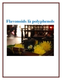 Flavonoids là polyphenols