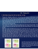 Tự học Indesign CS2 : Layout part 7