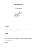 PREDNISOLON 