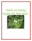 Thuốc bổ dưỡng nguồn gốc thảo dược