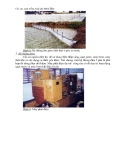 Kỹ thuật nuôi tôm bán thâm canh - thâm canh thân thiện với môi trường part 2