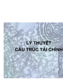 Kinh tế học cấu trúc tài chính