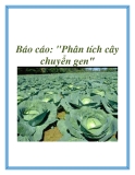 Báo cáo: "phân tích cây chuyển gen"