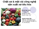 Tiểu luận: "Chất xơ & một vài công nghệ sản xuất xơ tiêu hóa"