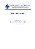 Bài giảng bệnh chuyên khoa nông nghiệp : BỆNH HẠI CÂY XA BÔ (HỒNG XIÊM)