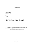 TRỨNG VÀ ẤP TRỨNG GIA CẦM part 1