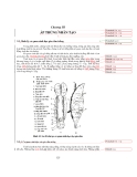 TRỨNG VÀ ẤP TRỨNG GIA CẦM part 7