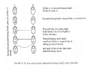 Thức ăn bổ sung cho vật nuôi : Chất phòng chống bệnh part 2