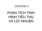 CHƯƠNG V  PHÂN TÍCH TÌNH HÌNH TIÊU THỤ VÀ LỢI NHUẬN