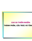 Công nghệ cao su - Phần 2