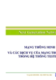  MẠNG THÔNG MINH VÀ CÁC DỊCH VỤ CỦA MẠNG THÔNG MINH TRONG HỆ THỐNG TESTLAB