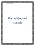 Thực nghiệm yếu tố toàn phần