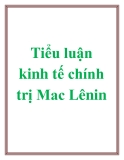 Tiểu luận kinh tế chính trị mac lênin