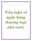 Tiểu luận về ngân hàng thương mại nhà nước