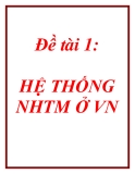 Đề tài 1: HỆ THỐNG NHTM Ở VN